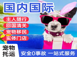 大水泊航空邮寄国际宠物托运 【国